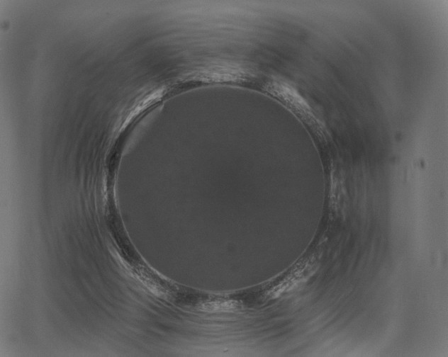 X0000062830202200601131307