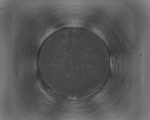 X0000062830204200601131306