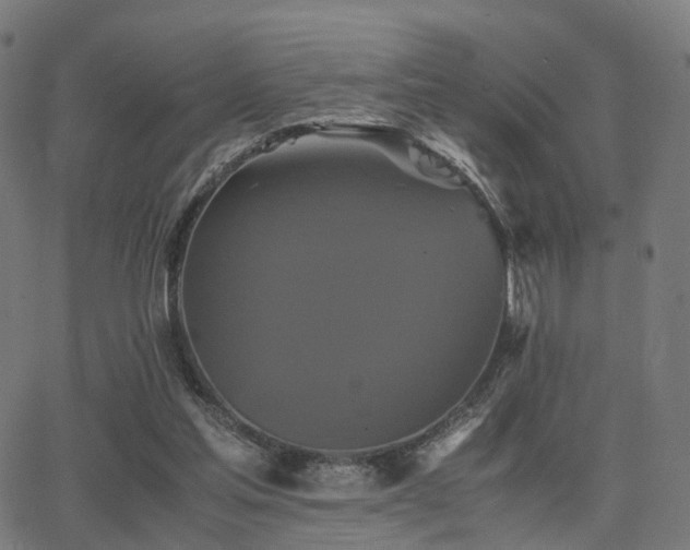 X0000062830205200601131306