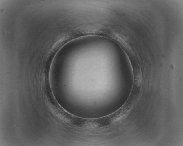 X0000062830207200601131306