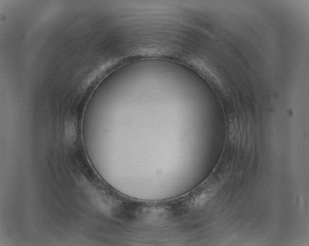 X0000062830208200601131306