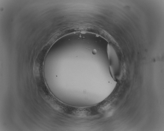 X0000062830209200601131306