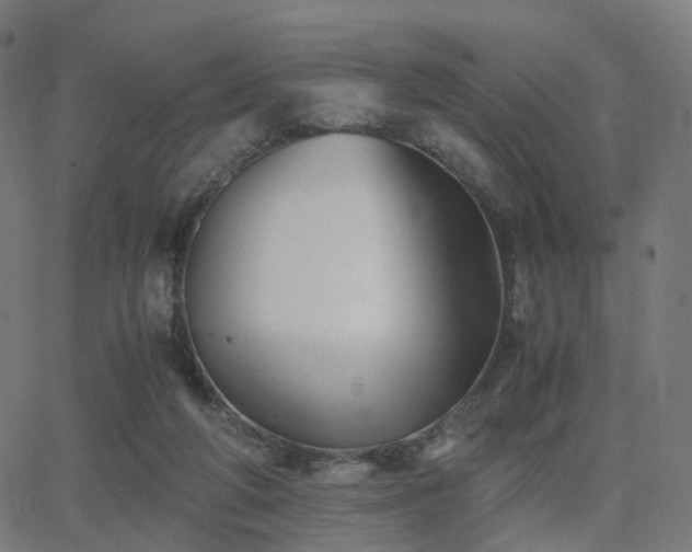 X0000062830210200601131306