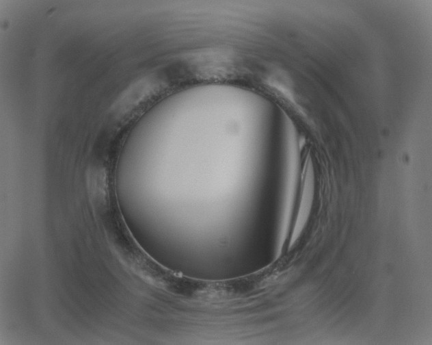 X0000062830211200601131306