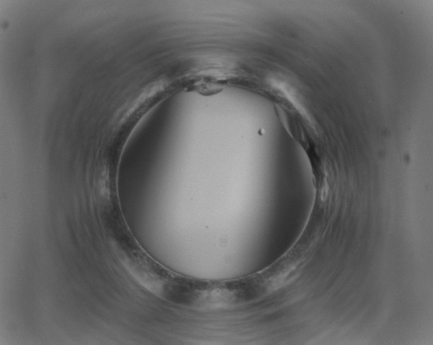 X0000062830212200601131306