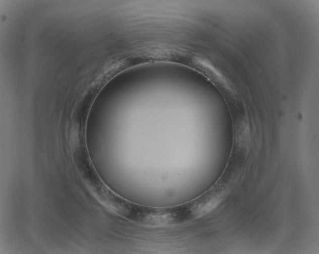 X0000062830213200601131306