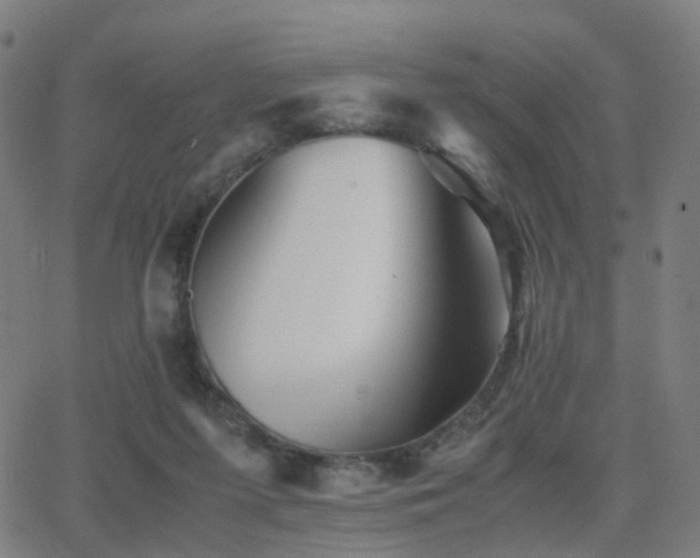 X0000062830215200601131306