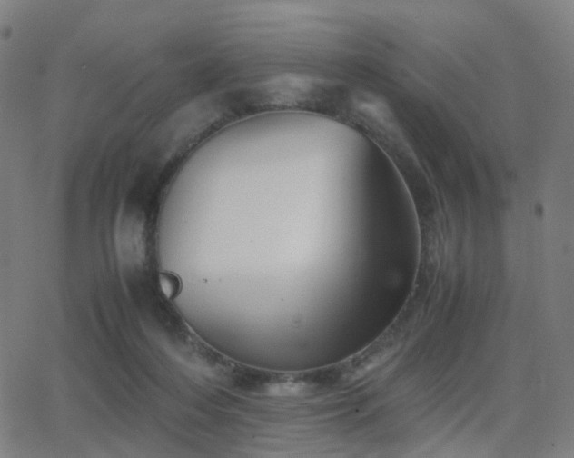 X0000062830216200601131306