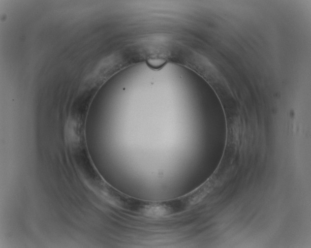 X0000062830218200601131306