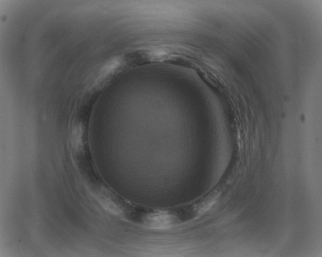 X0000062830219200601131306