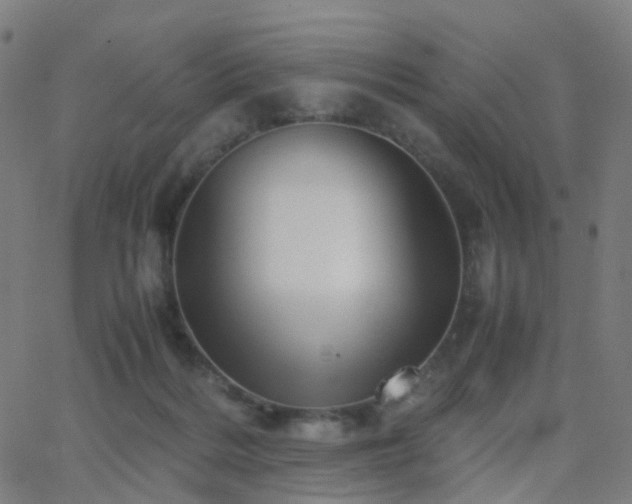 X0000062830220200601131306