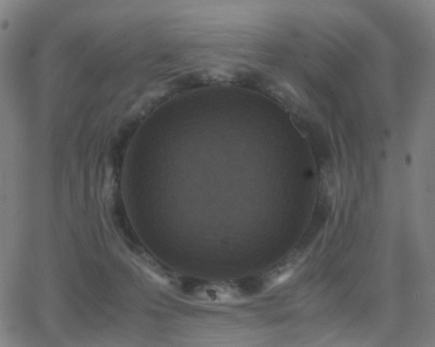 X0000062830223200601131306