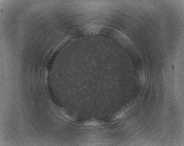 X0000062830224200601131306