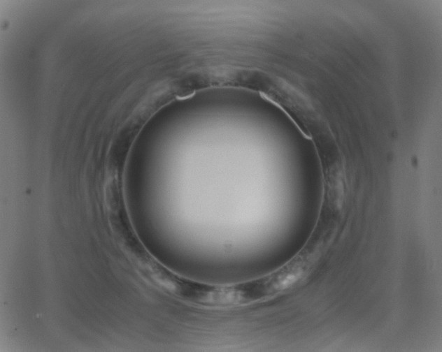 X0000062830225200601131306