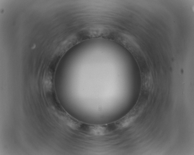 X0000062830226200601131306