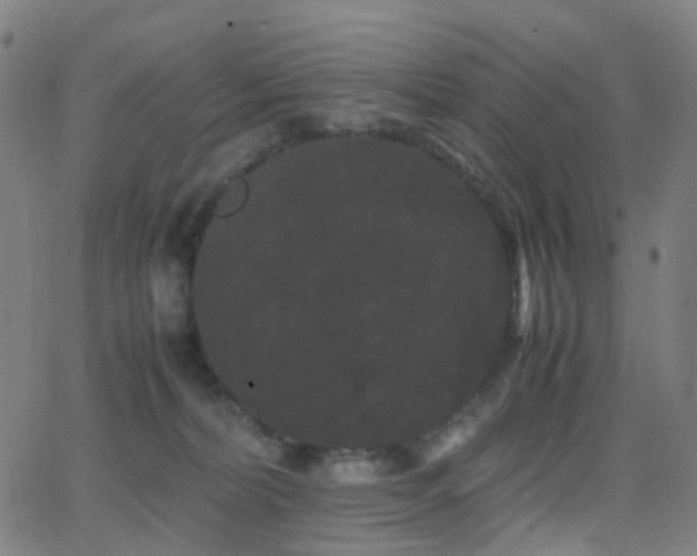 X0000062830228200601131306