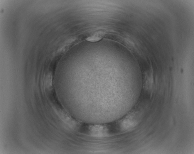 X0000062830230200601131306