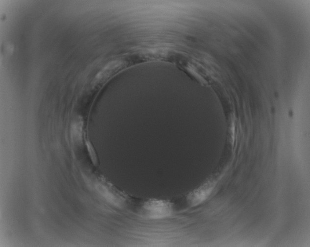 X0000062830231200601131306