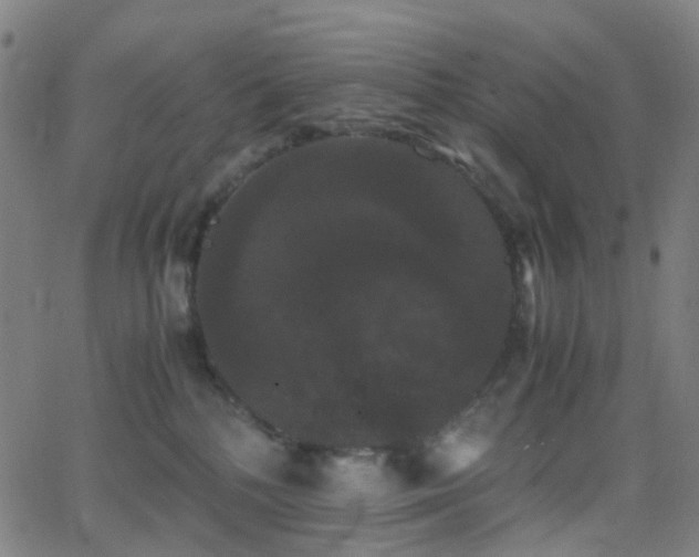 X0000062830232200601131306