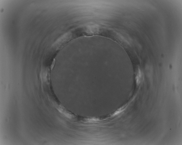 X0000062830233200601131306