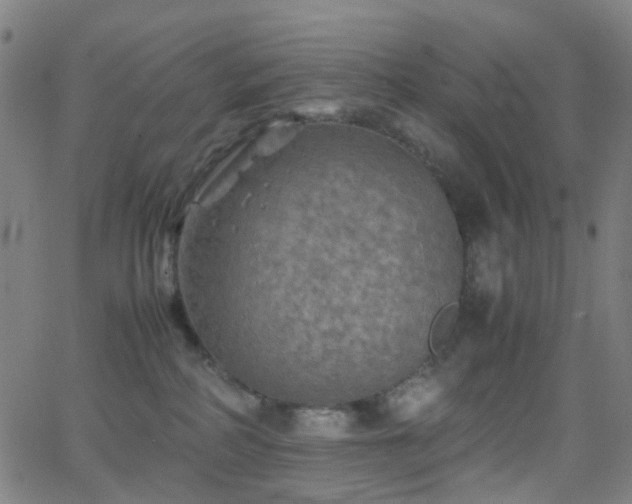 X0000062830234200601131306