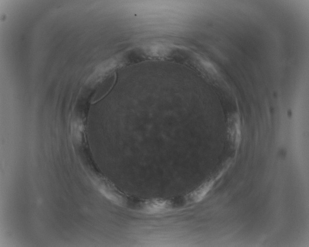 X0000062830235200601131306