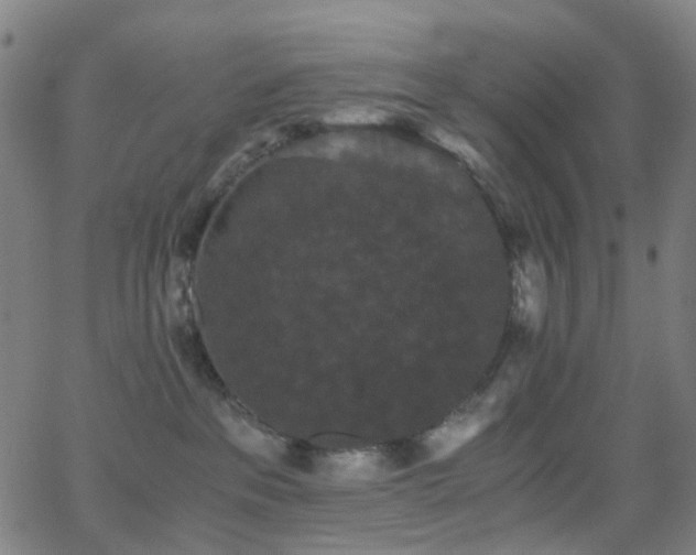 X0000062830237200601131306