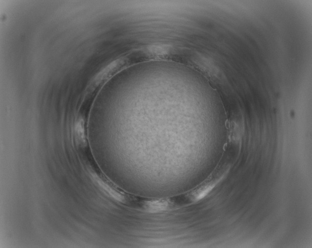 X0000062830238200601131306