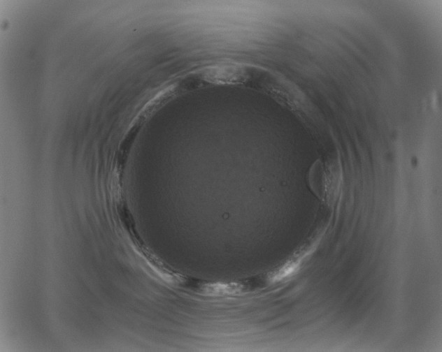 X0000062830239200601131306