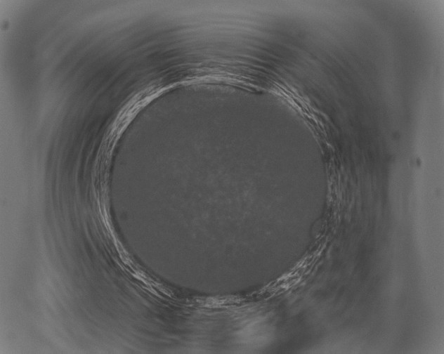 X0000062830241200601131305