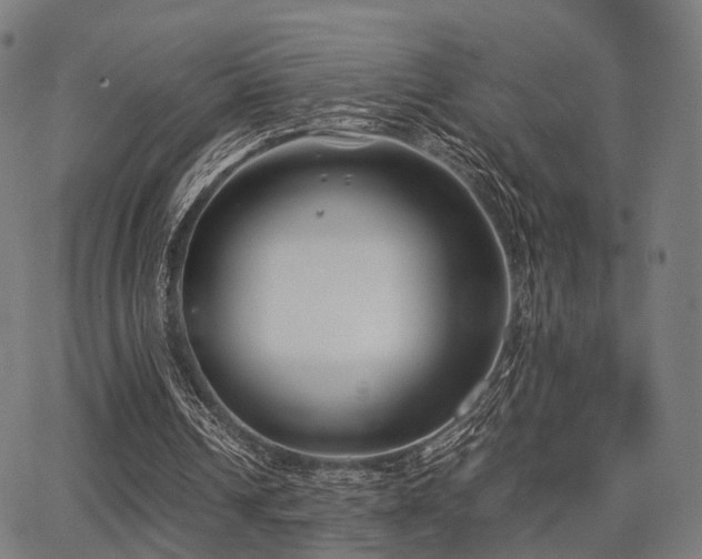 X0000062830242200601131305