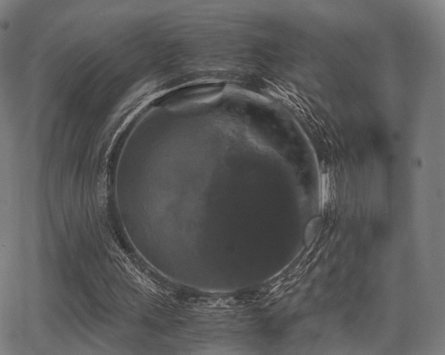 X0000062830243200601131305