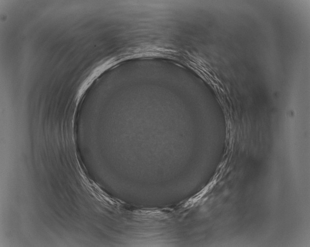 X0000062830244200601131305