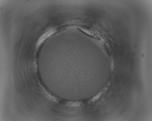 X0000062830245200601131305