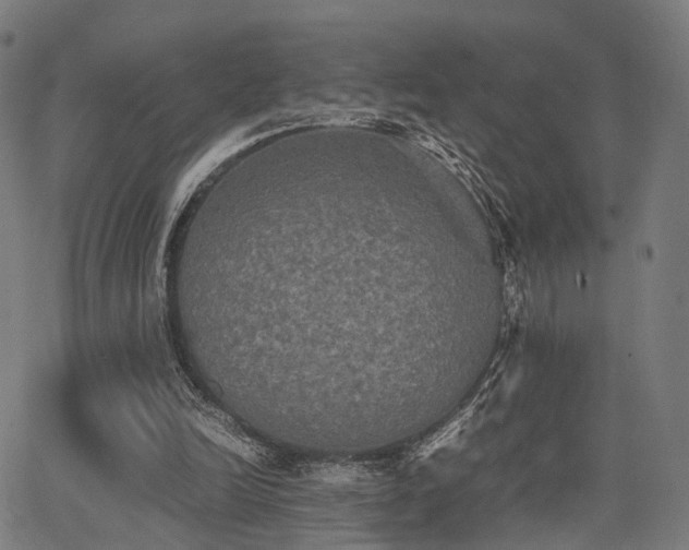 X0000062830246200601131305