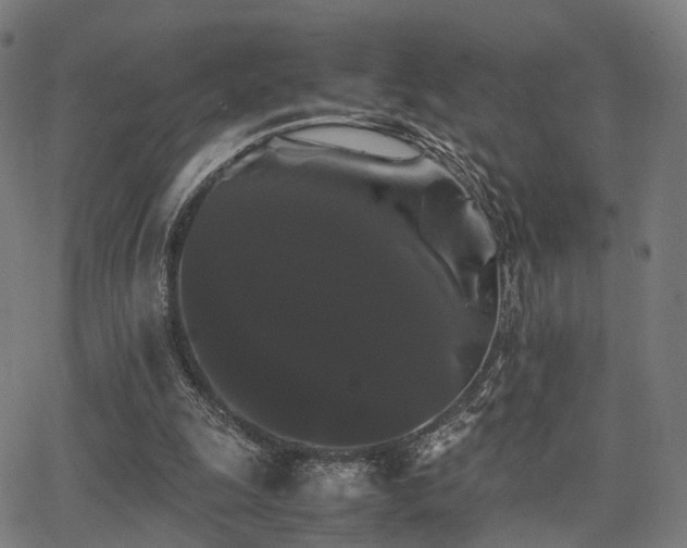 X0000062830247200601131305