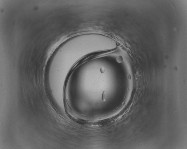 X0000062830248200601131305