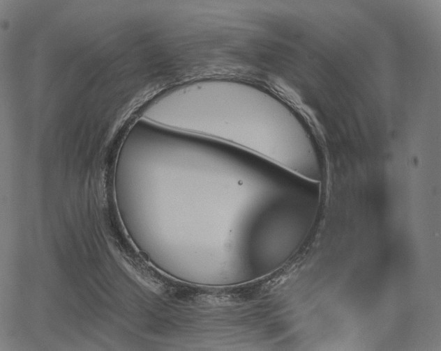 X0000062830250200601131305