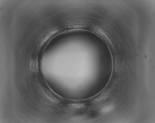 X0000062830251200601131305