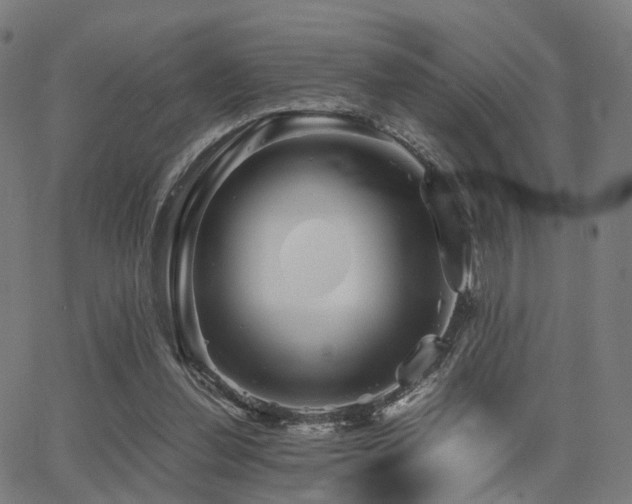 X0000062830252200601131305