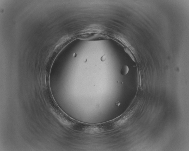 X0000062830253200601131305