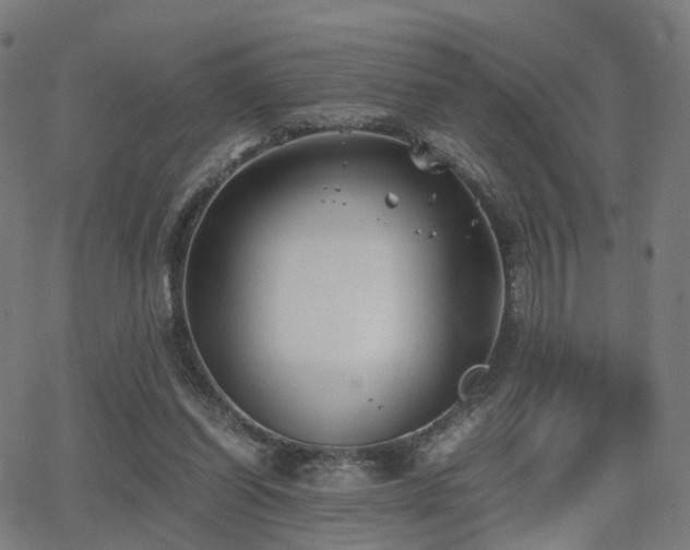 X0000062830254200601131305