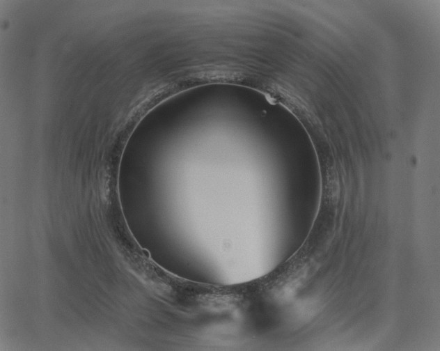 X0000062830255200601131305