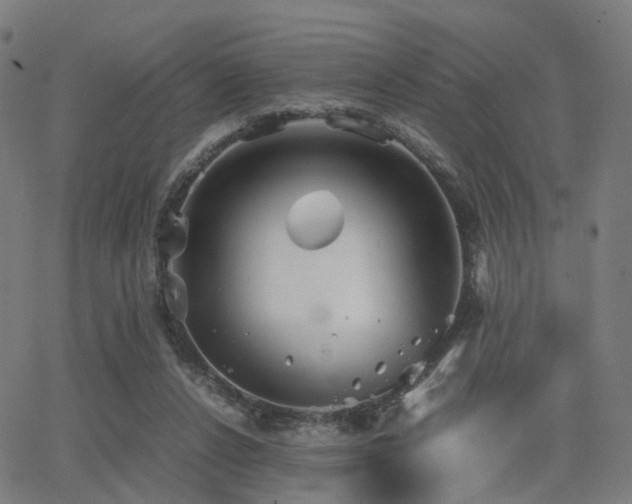 X0000062830256200601131305