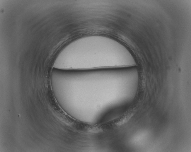 X0000062830258200601131305