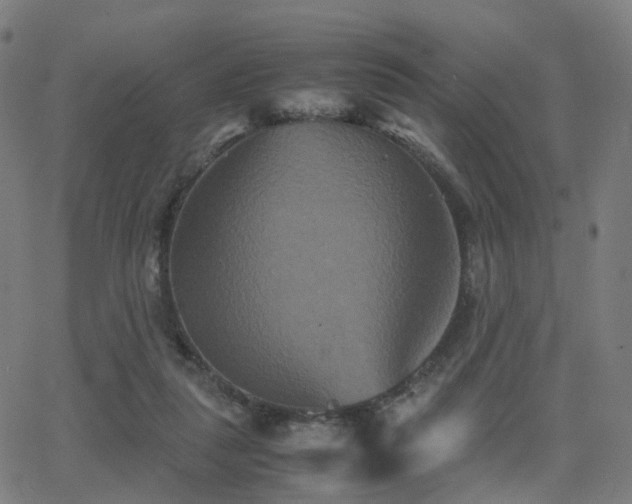 X0000062830259200601131305