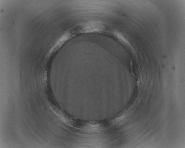 X0000062830260200601131305