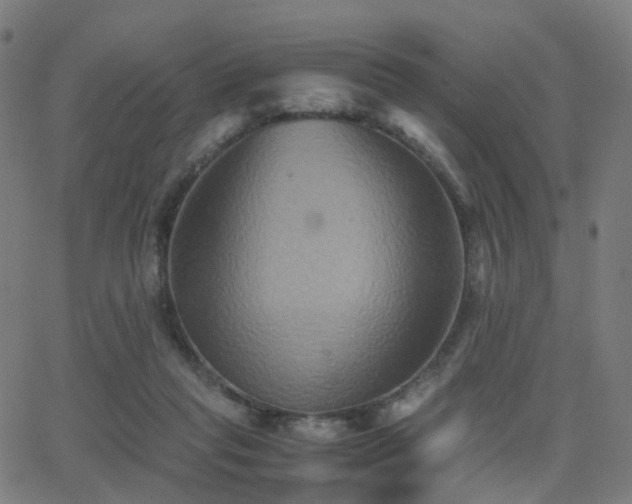 X0000062830261200601131305