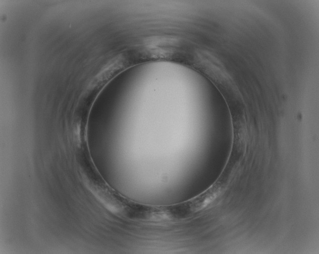 X0000062830262200601131305