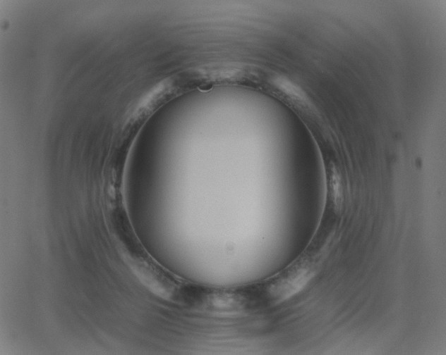 X0000062830264200601131305